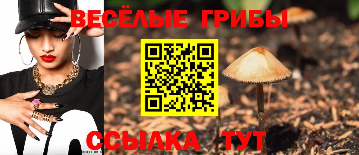 Псилоцибиновые грибы прущие грибы  Вход с VPN  где купить   Белово 