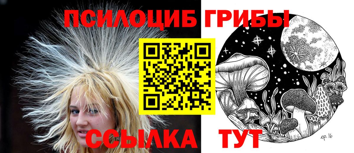 Псилоцибиновые грибы мухоморы Белово